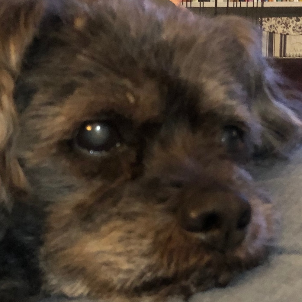 Meet your Posher, Kristin